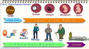 Makalah proses penciptaan manusia menurut islam 1.1 latar belakang. Al Quran Ting 3 Penciptaan Manusia Bukti Kekuasaan Allah Youtube