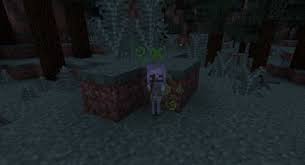 This mod adds 17 different mobs to your minecraft bedrock world. Baby Mobs Mod 1 17 1 1 16 5 1 15 2 1 14 4 Tiny Mobs Minecraft