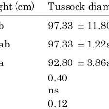 Image result for Loxodera