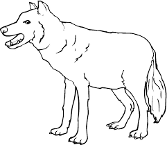 How to draw walking wolf step by step. Coloring Pages Coloring Pages Wolf Printable For Kids Adults Free