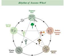 Chinese Medicines Rhythm Of The Seasons Diagram Chinese