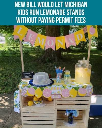 🍋Children in Michigan could soon have an easier time running lemonade  stands under a bill approved by the Michigan House. House Bill 6007 would  stop cities, townships, villages and counties from requiring