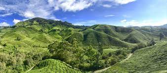 To reach cameron highlands from melaka you will need to take at least two buses as there is no direct route, and cameron highlands does not have an airport or train station. 2021 4d3n Cameron Highland Kuala Lumpur Putrajaya Malaysia Tour Ami Travel Tours
