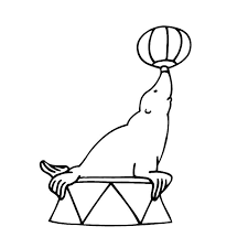 coloriage otarie lace up flat circus hair accessories citrouille