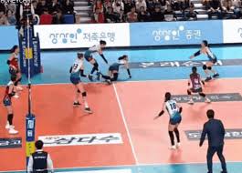 (재업) 여가부 지원 받는 성문화센터 수준.jpeg. ì—¬ìžë°°êµ¬ í‚¤ 206cmì˜ ìœ„ì—„ Gif