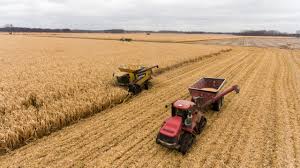 Maybe you would like to learn more about one of these? 5 Farmland Faq S You May Have Not Considered