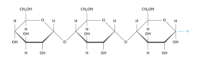 Check spelling or type a new query. Chemical Makeup Of Glucose And Starch Saubhaya Makeup