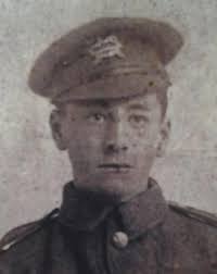 Search for " Woolley"