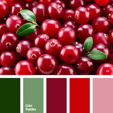 Color Of Cranberry Color Palette Ideas