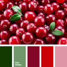 color of cranberry color palette ideas