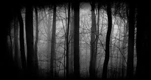 Image Result For Haunted Woods Forest Wallpaper Scary Backgrounds Dark Wood Background