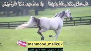 بسام خلف سليمان الحمداني، المقالة عند محمود درويش، صفحة 9. ÙˆØµÙ Ø§Ù„Ø®ÙŠÙ„ Ù…Ø¹Ù„Ù‚Ø© Ø§Ù…Ø±Ø¦ Ø§Ù„Ù‚ÙŠØ³ Ø§Ù„Ø£Ø¯Ø¨ Ø§Ù„Ø±ÙÙŠØ¹ Youtube