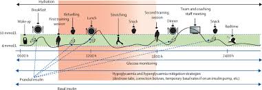 The first step to making sure that you get the most from your workouts is making sure that you since you're focused on weight training, you'll want to follow guidelines for meal timing that are what to eat after training. Post Exercise Recovery For The Endurance Athlete With Type 1 Diabetes A Consensus Statement The Lancet Diabetes Endocrinology