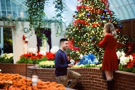 No matter where we live in pennsylvania, we'll find an abundance of events and activities during the christmas season. Sarah And A J S Proposal On The Knot S Howtheyasked Com