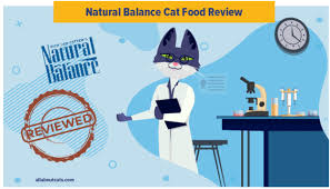 Note it appears they use the same vit. Unbiased Natural Balance Cat Food Review 2021 We Re All About Cats