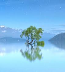 Lake Otago New Zealand Beautifulnature Reflections Naturephotography Nature Photography T Amazing Nature Photography Nature Photography Beautiful Nature