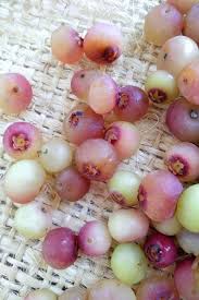 Mature size is 4 ft. What Is A Pink Lemonade Blueberry Eat Like No One Else