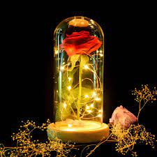 Enchanted Rose Flower Lamp Flower Lamp Rose In A Glass Rose Lights