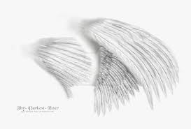 White Angel Wings Png Wing From The Side Png Transparent Png Transparent Png Image Pngitem Angel wings cartoon png collections download alot of images for angel wings cartoon download free with high quality for designers. white angel wings png wing from the