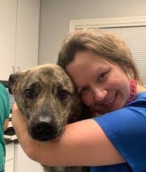 Donna Schepis's Instagram, Twitter & Facebook