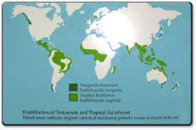 Due to this, one of their primary characteristics is the hot and wet climate. Geographical Location Temperate Forest And Tropical Rain Forest Biomes