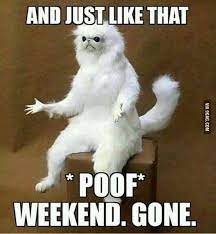 Pin On Funny Stuff Parenting Humor Humor About Raising Kids