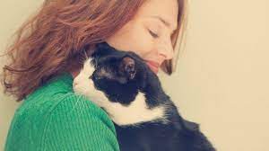 kedi tuyu zararli midir kedi tuyunun zararlari nelerdir nasil ne yapilir