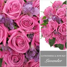 Costco travel's offices are located in issaquah, washington, adjacent to costco's corporate headquarters. Rose Alstroemeria Assorted Monochromatic Pack 8 Bouquets Ebloomsdirect Bulk Flowers Online Alstroemeria Bouquet Alstroemeria