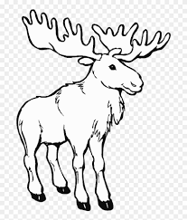 Instantly access online and printable materials. Png Library Animals Printable Coloring Pages Page Moose Coloring Pages Transparent Png 694x906 103131 Pngfind