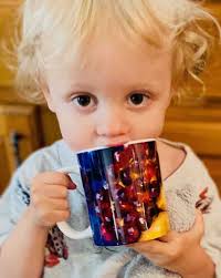 Merch — Annie Lanzillotto