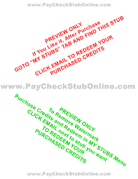 And, the best part is you can use them for free. Paycheck Stub Generator Instant Preview Free Try Now