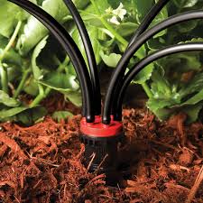 Normally the crop would be planted along. Sprinkler Emitter Repair Tucson Acme Irrigation Company Llc