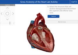 The Anatomy Of A Virtual A P Lab Course