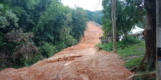 Tanah sebagai media tanaman untuk tumbuh musti dikondisikan dalam keadaan yang paling baik. Tanah Pertanian Hulu Langat Ejen Hartanah Tanah Untuk Dijual Rumah Untuk Dijual Jual Rumah Jual Tanah Ejen Tanah Di Cheras Ampang Kajang Bangi Semenyih Hulu Langat Petaling Jaya Usj