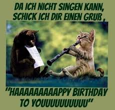 Gute nacht kuss animierte gif. Lustige Tiere Bilder Auf Memesbams Com Besten Witzige Tierbilder