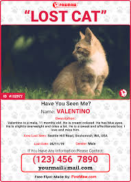 Register your missing pet, and search found pets at petsreunited.com animal search uk: How To Find A Lost Indoor Cat
