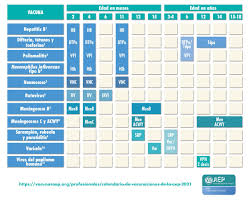 La brigada correcaminos informó que será a partir del próximo 23 de julio cuando inicien las jornadas de vacunación, aplicando segundas dosis de 40 a 49 años, así. Calendario De Vacunaciones Aep 2021 Comite Asesor De Vacunas De La Aep