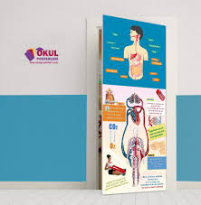 Fen Bilimleri Biyoloji Kapi Fen Bilimleri Kapi Giydirme Kimya Sinifi Kapi Giydirme Laboratuvar Kapi Giydirme Biyoloji Kapi Giydirme Okul Sinif Kapisi Poster
