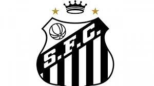 Com a maior participação econômica da citada região, abriga o maior porto da américa latina. Polemica En Brasil Por Un Homenaje A Pele En El Escudo Del Santos Superdeportivo Com Ar