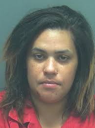 Lee County Arrests 1/28