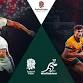 Autumn Internationals: England vs Fiji event image