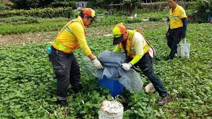 《淹水地區大消毒以維護環境衛生》﻿ ﻿ 5月30日清晨經歷了一場又急又快的強降雨，造成部分市區與老街區淹水，鹿港鎮清潔隊立即於今天上午開始進行淹水地區大消毒，要趕在日內完成所有的消毒作業。﻿ ﻿ ﻿ 各里由里長帶領指引消毒處﻿ 籲請鄉親清理積水容器，以免孳生病媒蚊. é¢±é¢¨éŽå¾Œè±ªé›¨æŽ¥åŠ›ç'°ä¿ç½²ç±²é˜²ç™»é©ç†±
