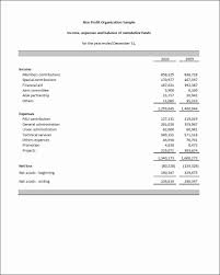 Non Profit Financial Statement Template Inspirational Non Profit Financial Statement Template In 2020 Statement Template Mission Statement Template Financial Statement