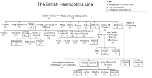 Britain's queen victoria, through two of her five. File Haemophilia Family Tree Gif Wikimedia Commons