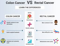 These are both very useful expressions you can use when you are speaking or writing if you watch engvid lessons with a friend, you can test each others understanding. What S The Difference Between These Two Types Of Cancer Free Press Of Jacksonville