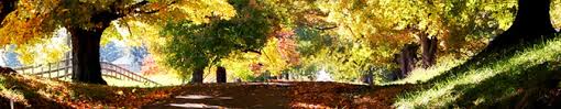 Funeral Services Thomas Funeral Home Calhoun Calhoun Ga
