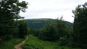 Aby dotrzeć do tego miejsca, my jechaliśmy od strony wisły, przez istebną i jaworzynkę, na terenie której trójstyk się znajduje. Trojstyk Polska Ukraina Slowacja Mapio Net