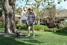 Check spelling or type a new query. Best Cordless Weed Eaters On Amazon 2020 Hgtv