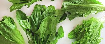 Pedre is an internist in new york, new york and is affiliated with one hospital. The 11 Best And Worst Foods For Your Gut Health Daily Burn