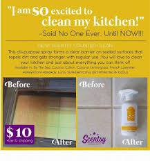 In these helpful scentsy reviews, our authors and website visitors will evaluate the company and its merchandise based on popularity, products scentsy officially launched in 2004 with it's main headquarter and manufacturing facility is in meridian, idaho. Pin On Scentsy